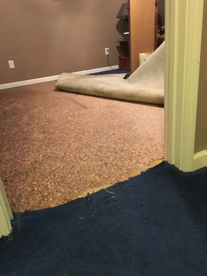 Carpet pad removal revealing water damage during Drying & Dehumidification in Douglas